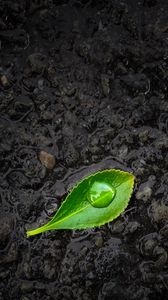 Preview wallpaper leaf, drop, stones, close-up, green, black