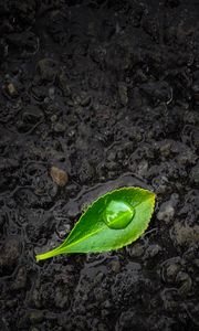 Preview wallpaper leaf, drop, stones, close-up, green, black