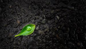 Preview wallpaper leaf, drop, stones, close-up, green, black