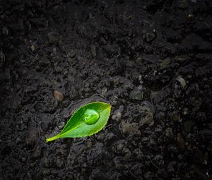 Preview wallpaper leaf, drop, stones, close-up, green, black