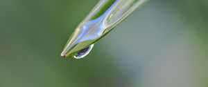 Preview wallpaper leaf, drop, water, moisture, macro