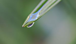 Preview wallpaper leaf, drop, water, moisture, macro