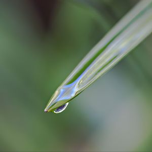 Preview wallpaper leaf, drop, water, moisture, macro