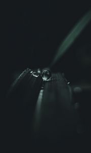 Preview wallpaper leaf, drop, water, macro, dark