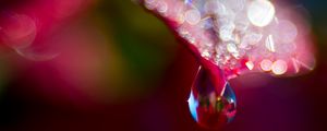 Preview wallpaper leaf, drop, water, bokeh, macro