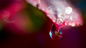 Preview wallpaper leaf, drop, water, bokeh, macro