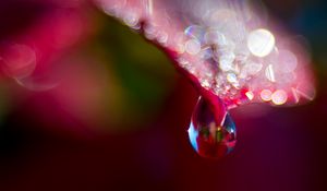 Preview wallpaper leaf, drop, water, bokeh, macro