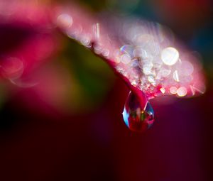 Preview wallpaper leaf, drop, water, bokeh, macro