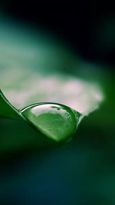 Preview wallpaper leaf, drop, water, macro, green