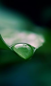 Preview wallpaper leaf, drop, water, macro, green