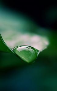 Preview wallpaper leaf, drop, water, macro, green