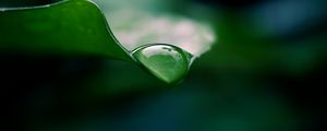 Preview wallpaper leaf, drop, water, macro, green