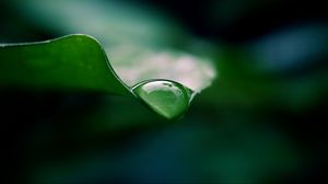 Preview wallpaper leaf, drop, water, macro, green