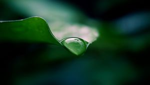 Preview wallpaper leaf, drop, water, macro, green