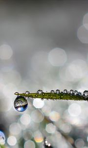 Preview wallpaper leaf, drop, water, rain, bokeh, macro