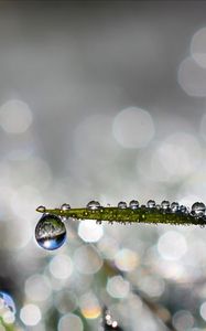Preview wallpaper leaf, drop, water, rain, bokeh, macro