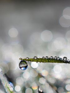 Preview wallpaper leaf, drop, water, rain, bokeh, macro