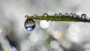 Preview wallpaper leaf, drop, water, rain, bokeh, macro