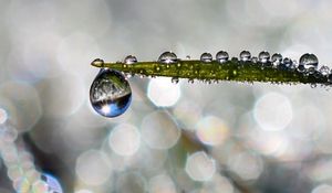 Preview wallpaper leaf, drop, water, rain, bokeh, macro