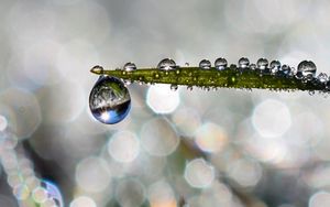 Preview wallpaper leaf, drop, water, rain, bokeh, macro