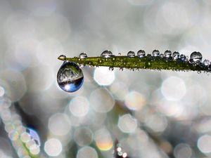 Preview wallpaper leaf, drop, water, rain, bokeh, macro