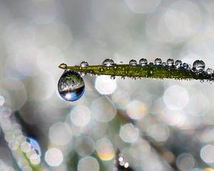 Preview wallpaper leaf, drop, water, rain, bokeh, macro