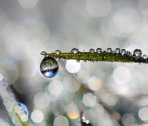 Preview wallpaper leaf, drop, water, rain, bokeh, macro