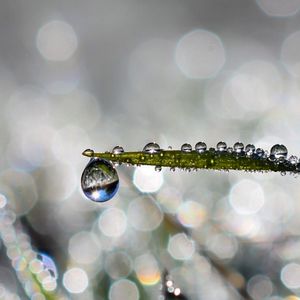 Preview wallpaper leaf, drop, water, rain, bokeh, macro