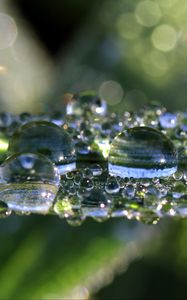 Preview wallpaper leaf, drops, macro, shine