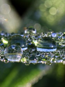 Preview wallpaper leaf, drops, macro, shine