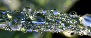 Preview wallpaper leaf, drops, macro, shine