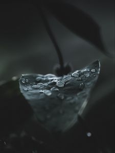 Preview wallpaper leaf, drops, macro, wet, dew, dark