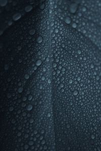Preview wallpaper leaf, drops, macro, surface, wet
