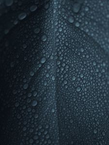 Preview wallpaper leaf, drops, macro, surface, wet