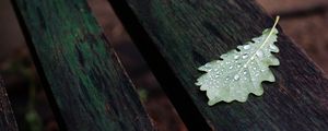 Preview wallpaper leaf, drops, macro, wet, autumn
