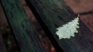 Preview wallpaper leaf, drops, macro, wet, autumn