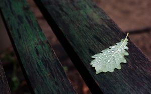 Preview wallpaper leaf, drops, macro, wet, autumn
