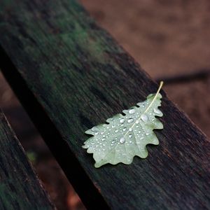 Preview wallpaper leaf, drops, macro, wet, autumn