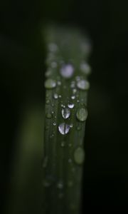 Preview wallpaper leaf, drops, rain, water, macro