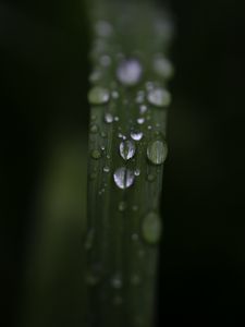 Preview wallpaper leaf, drops, rain, water, macro