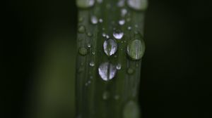 Preview wallpaper leaf, drops, rain, water, macro