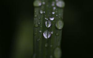 Preview wallpaper leaf, drops, rain, water, macro