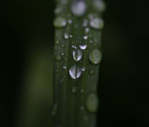 Preview wallpaper leaf, drops, rain, water, macro