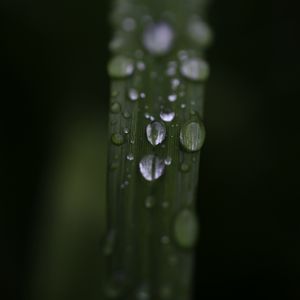 Preview wallpaper leaf, drops, rain, water, macro