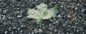 Preview wallpaper leaf, drops, stones