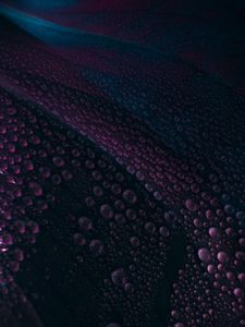 Preview wallpaper leaf, drops, water, surface, macro, purple