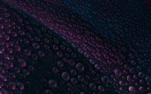 Preview wallpaper leaf, drops, water, surface, macro, purple
