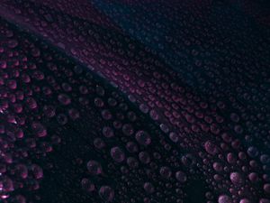 Preview wallpaper leaf, drops, water, surface, macro, purple