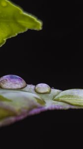 Preview wallpaper leaf, drops, water, darkness, macro