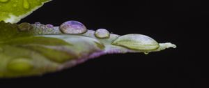 Preview wallpaper leaf, drops, water, darkness, macro